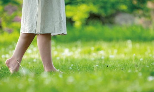 순천만국제정원박람회