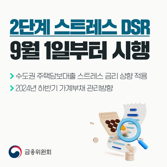 스트레스DSR