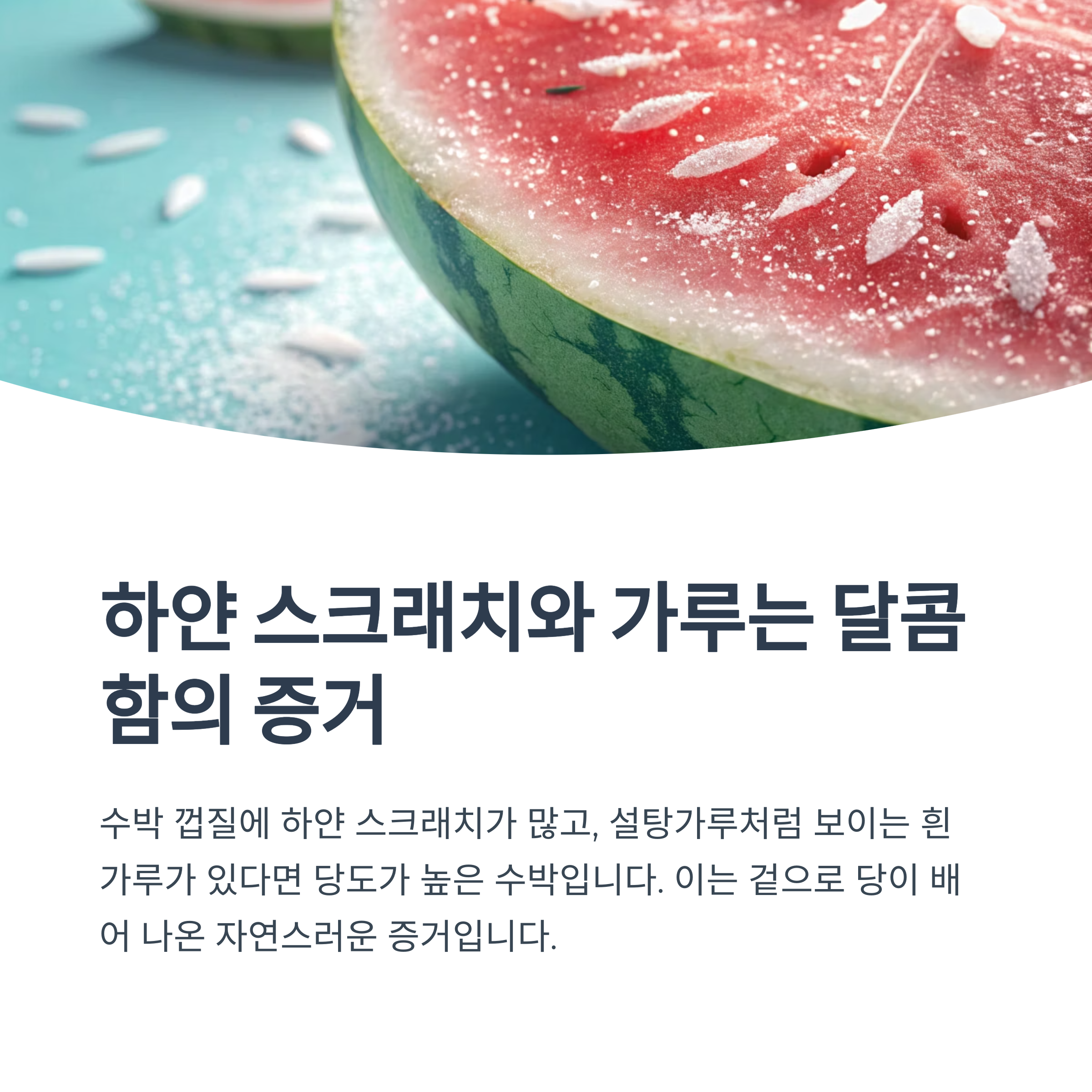 하얀 스크래치와 가루는 달콤함의 증거