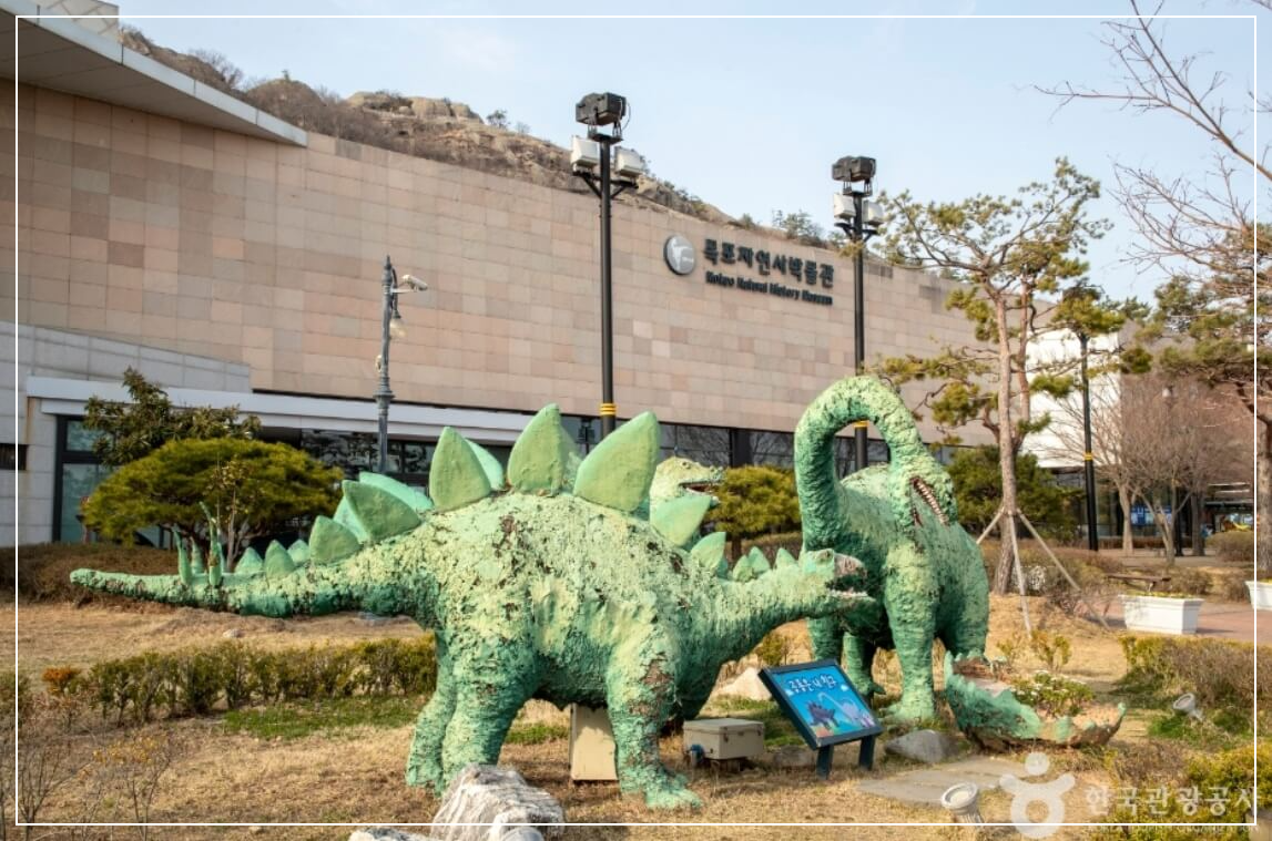 목포 가볼만한곳 베스트10 목포자연사박물관