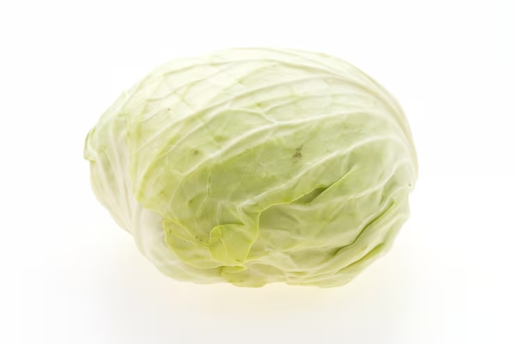 양배추즙의 효능과 복용방법