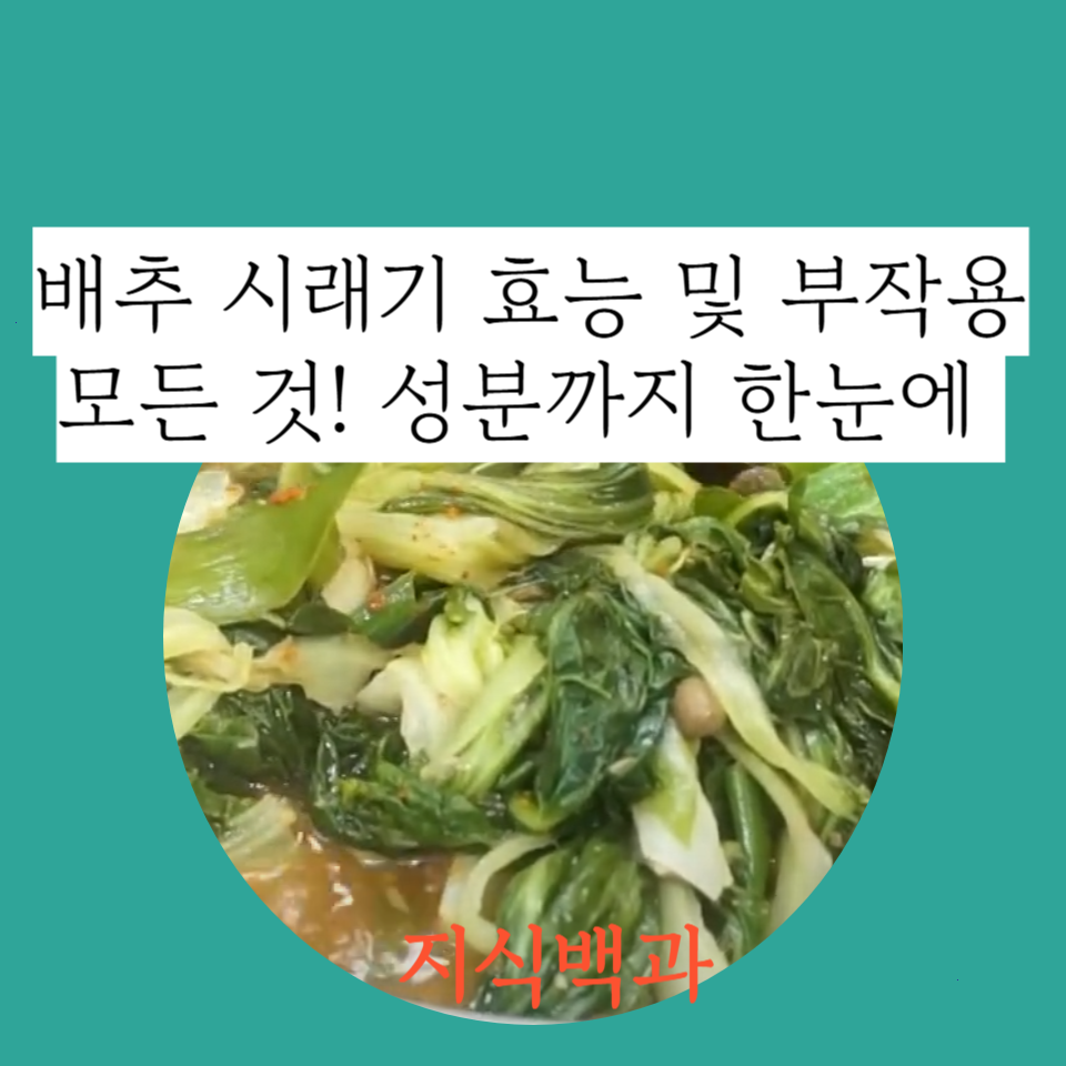 배추 시래기