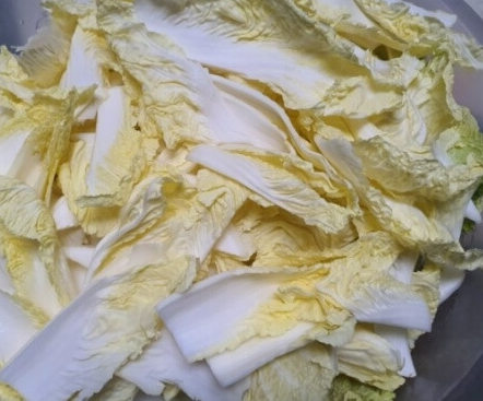 처음 담그는 사람을 위한 겉절이 김치 레시피