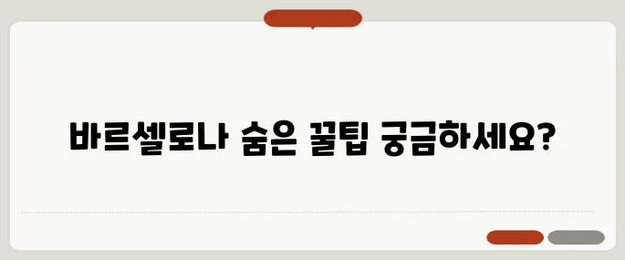 바르셀로나 여행 사용법 실전 팁만 담았어요