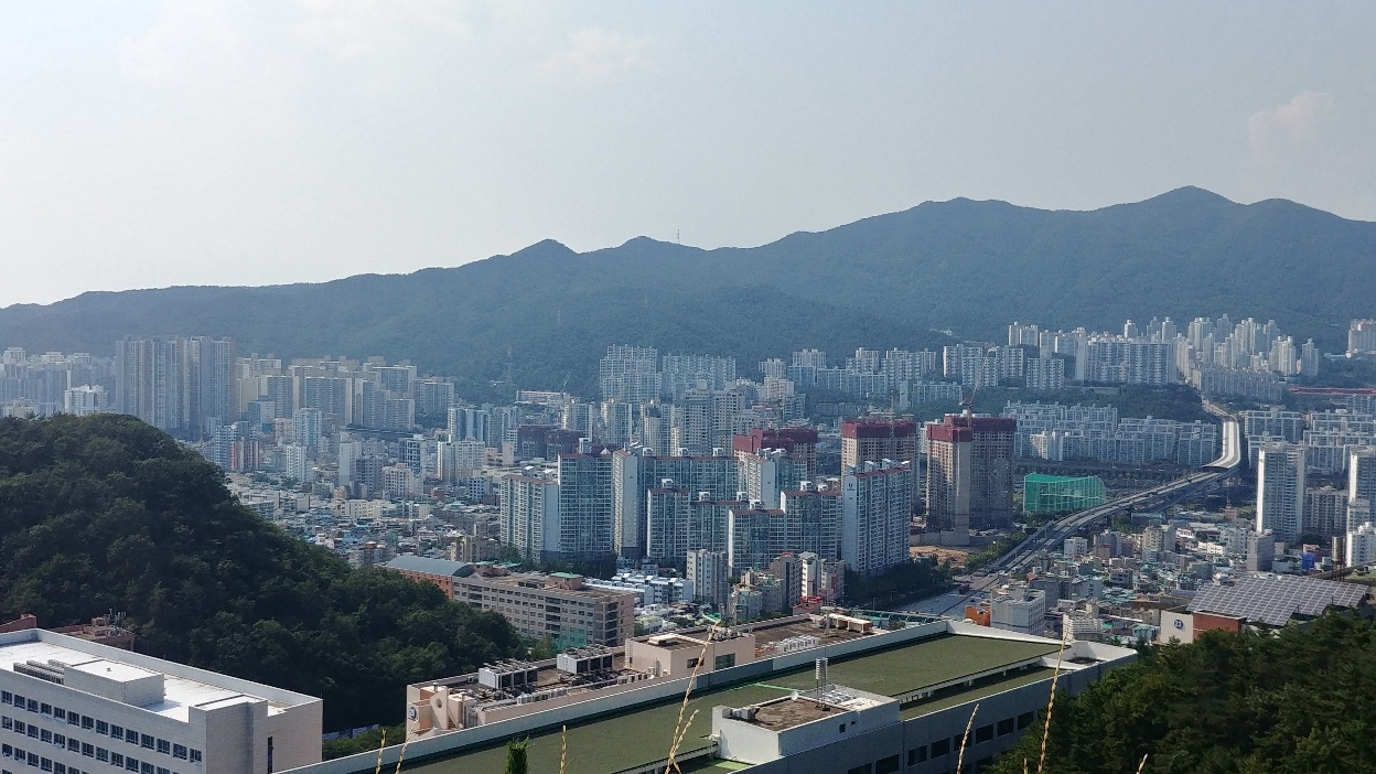 동의대