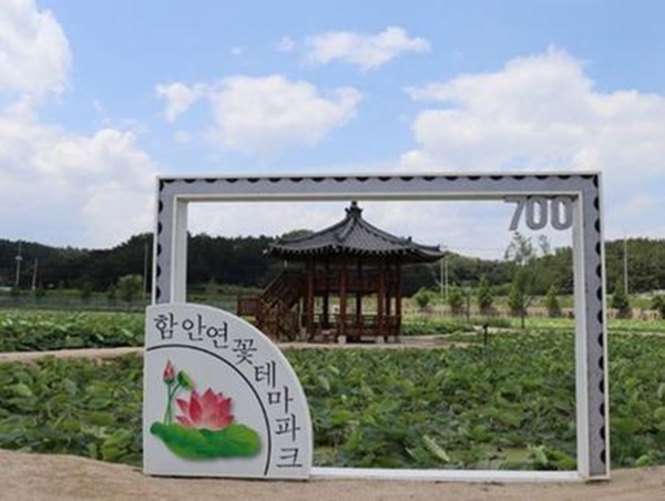 고성 가볼만한곳