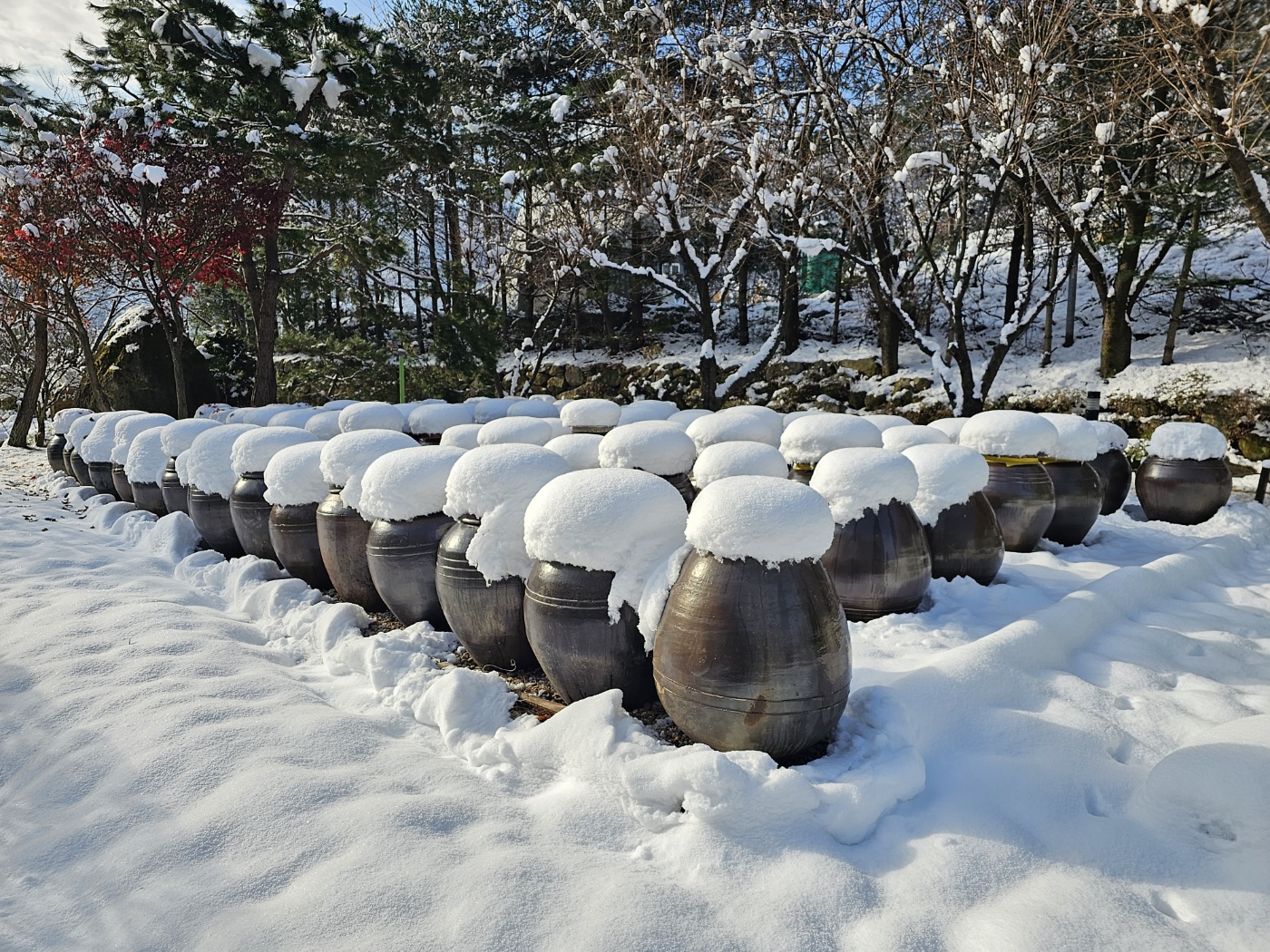 국산메주 판매, 재래된장 집된장 파는곳 시골메주 가격