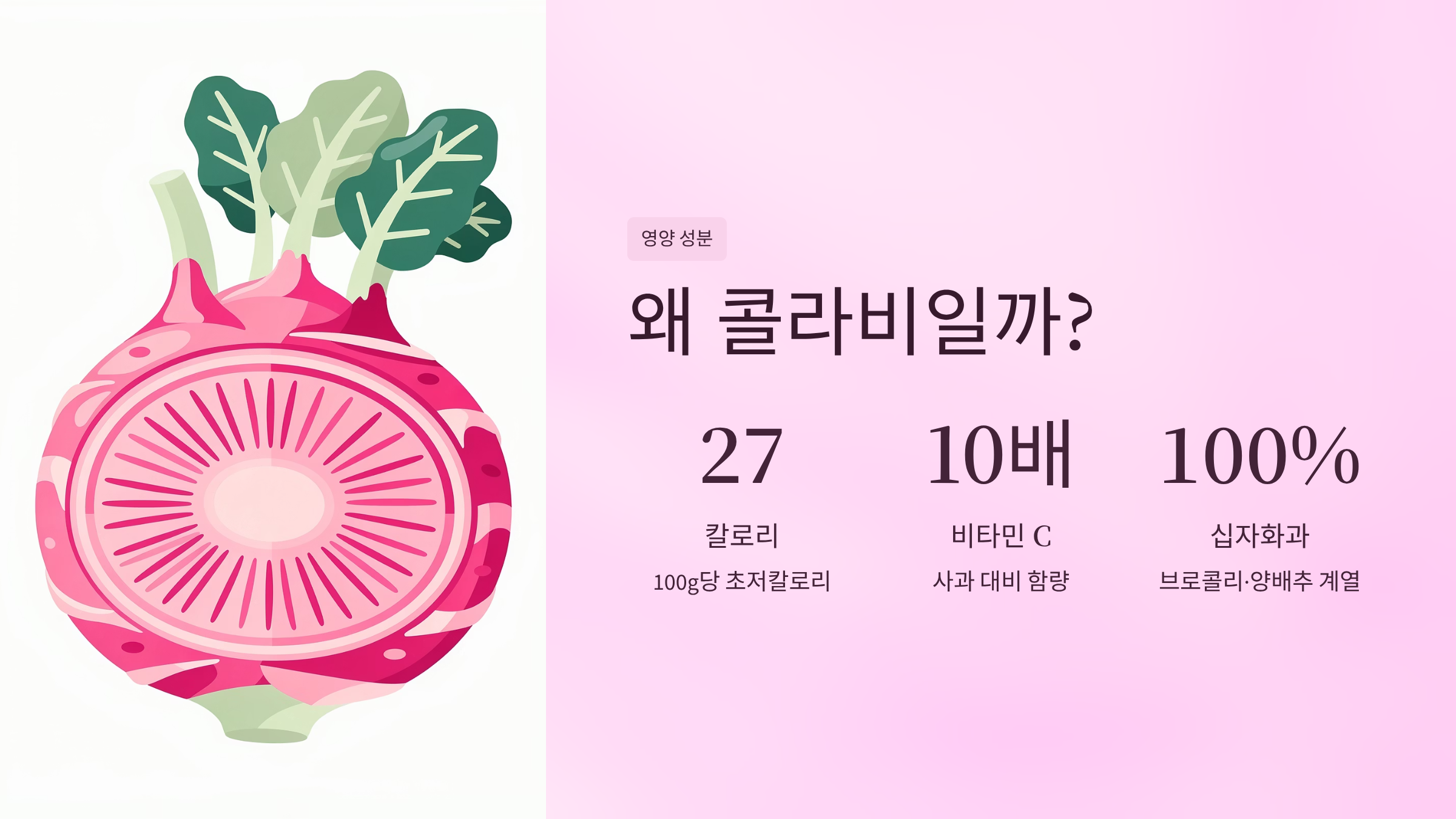 콜라비 효능 다이어트에서 골다공증 예방까지