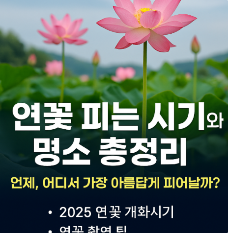 연꽃 피는 시기와 명소 총정리, 언제-어디서 가장 아름답게 피어날까? (이미지챗지피티)