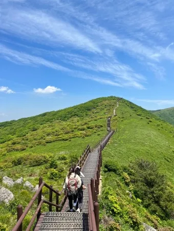 소백산 등산코스 죽령 연화봉 비로봉 어의곡 종주 완벽 가이드_23