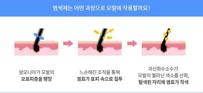 염색약의 두피 부작용 및 염색 전후 두피 관리 방법