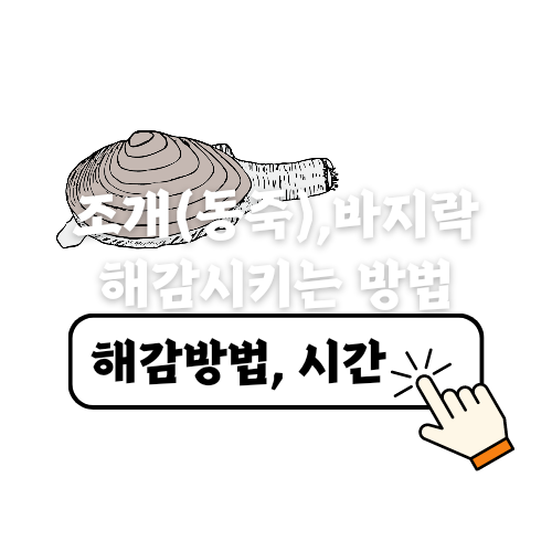 조개 바지락 꼬막 해감하는 방법 해감시간, 조개 요리 모음