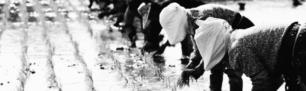 농업경영체 등록 혜택