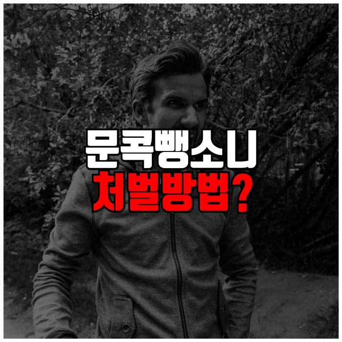 문콕뺑소니 처벌방법 썸네일
