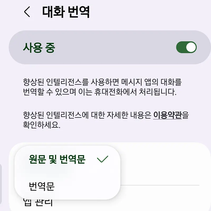표시할-언어