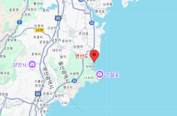 야경맛섬 명선도(아바타섬) 위치, 야경시간, 주차, 대중교통이용!