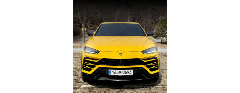 고양 덕양구 렌터카