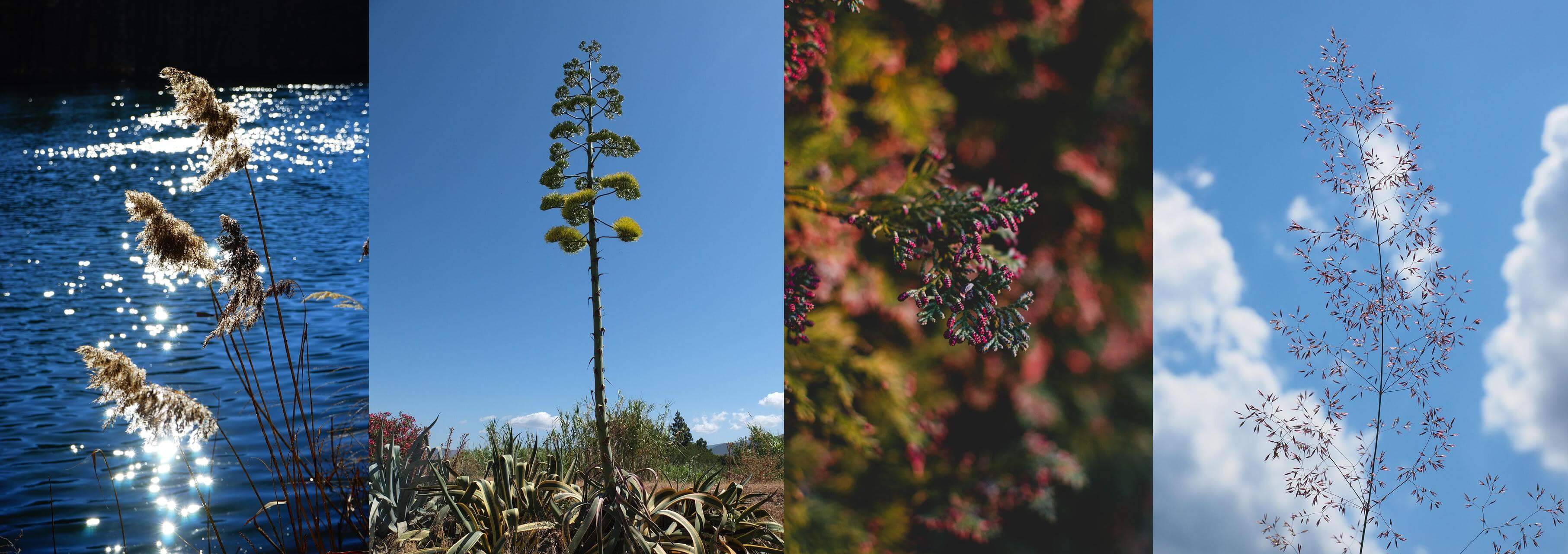 금융소득 종합과세 신고법