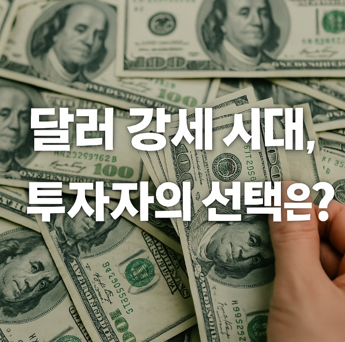 달러들이 많이 있는 사진