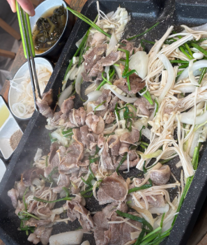 반석오리