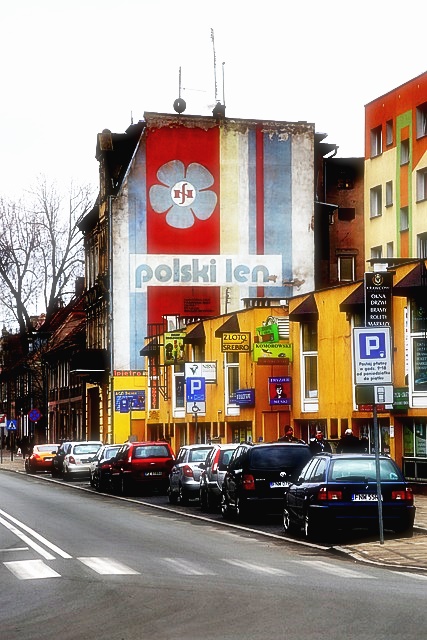 불법 주차 신고 방법