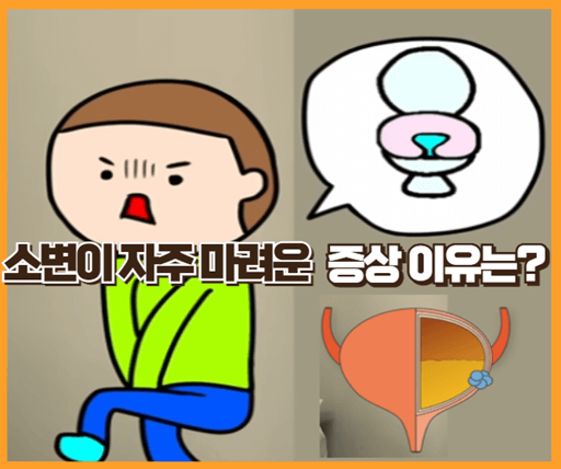 소변이-자주-마려운-증상