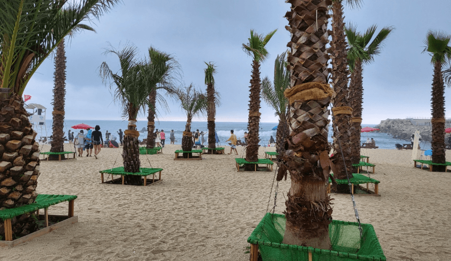 안목해변-커피거리