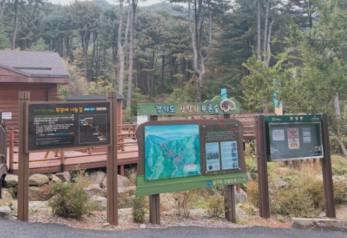 잣향기_푸른숲1