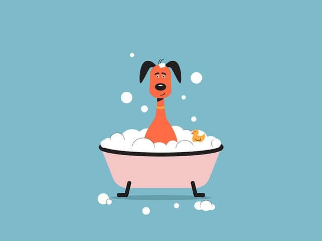 목욕하는-꿈-해몽