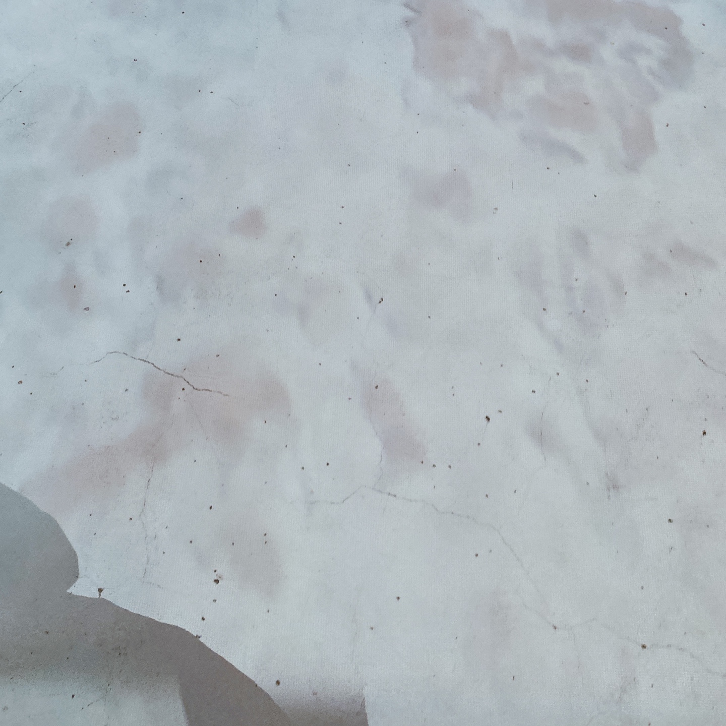 제주공항 & 용연계곡 근처 한라봉 젤라또 카페 휴즐리제주 한라봉젤라또 현무암젤라또 주차 리뷰 추천