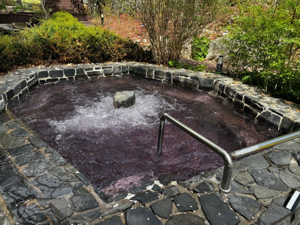 포레스트 리솜 해브나인 스파