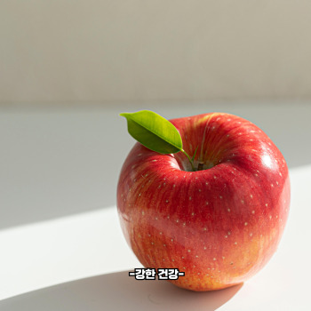 홍로 효능