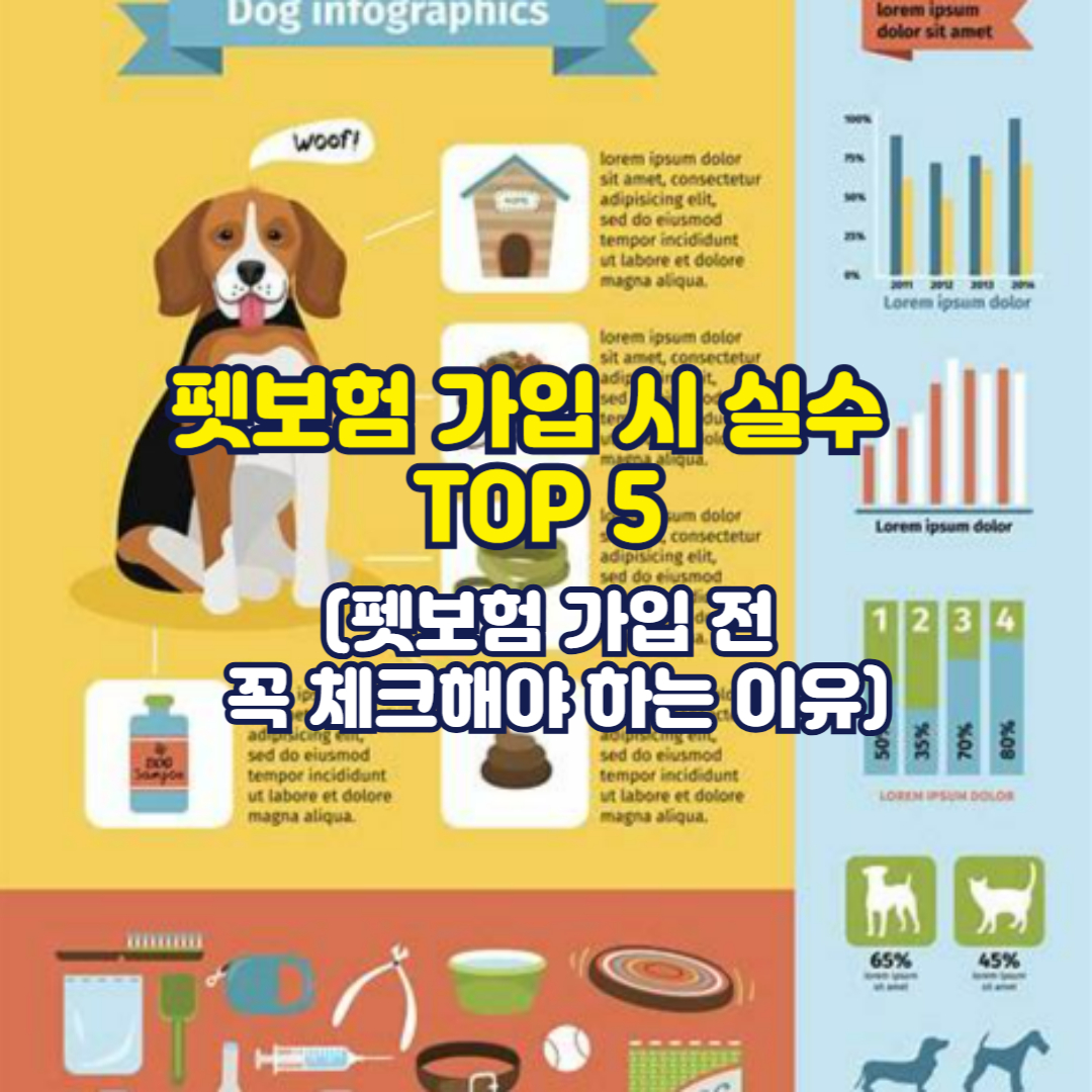 펫보험 가입 시 실수 TOP 5(펫보험 가입 전 꼭 체크해야 하는 이유)