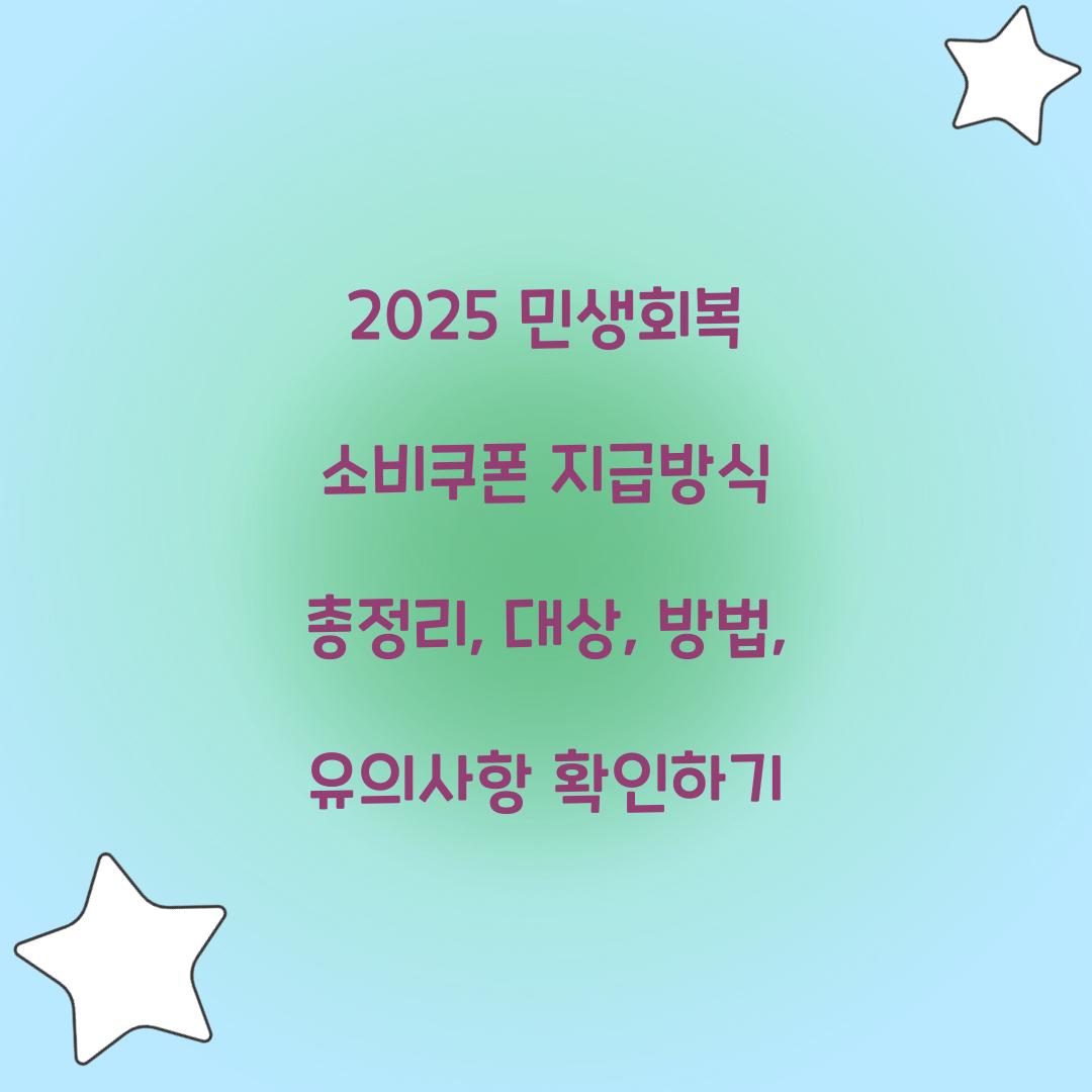2025 민생회복 소비쿠폰 지급방식