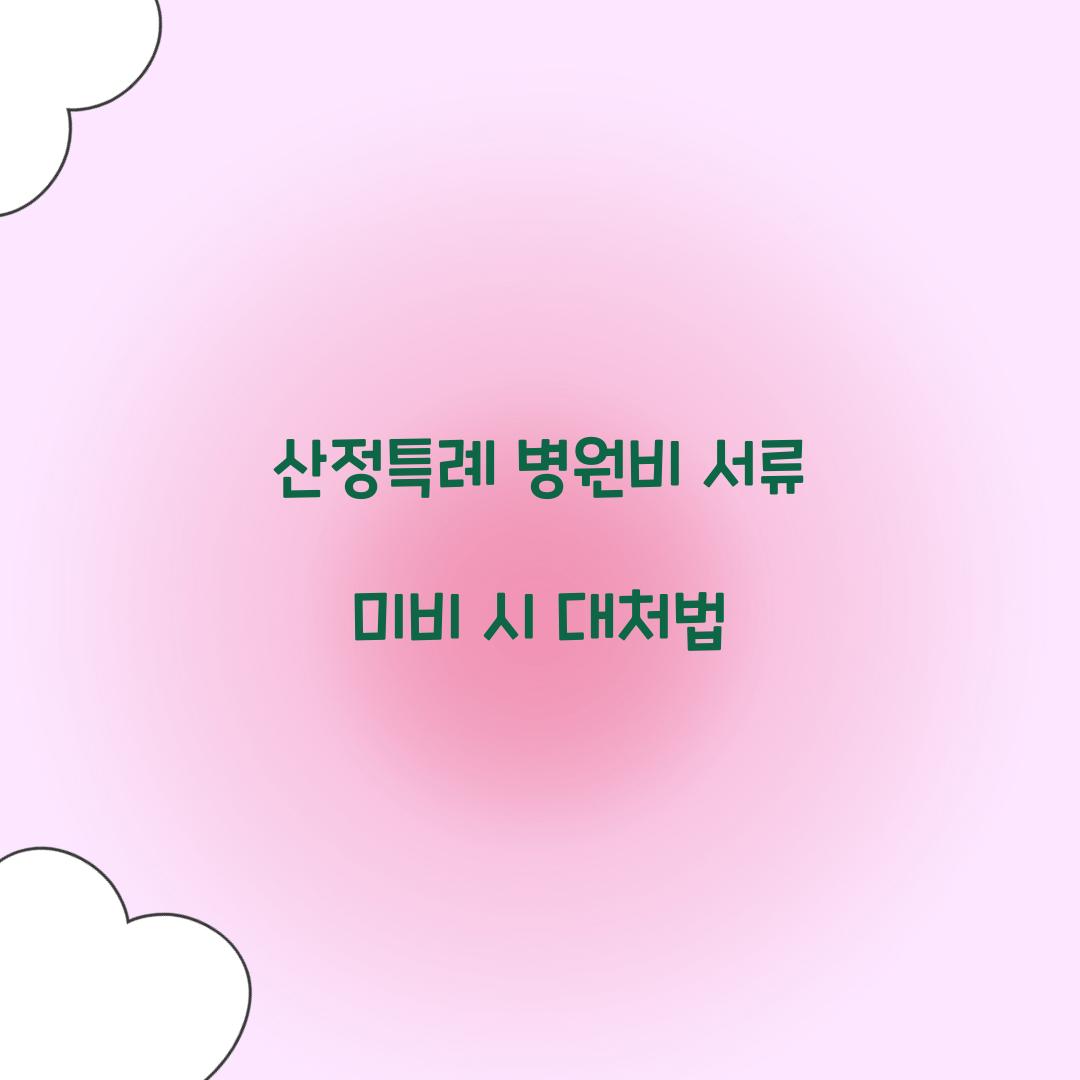 산정특례 병원비 서류 미비 시 대처법  