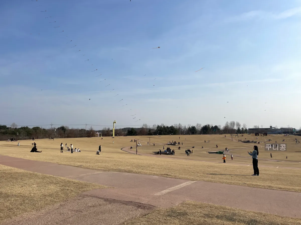 서울-1시간-거리-아이와-가기좋은-평화누리캠핑장-추천하는-이유