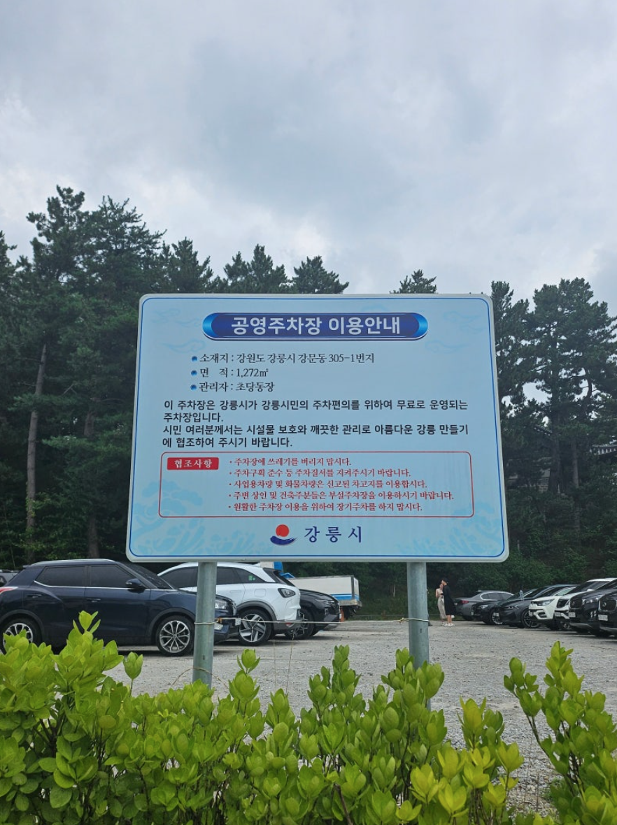 경포호 공영주차장 무료 안내