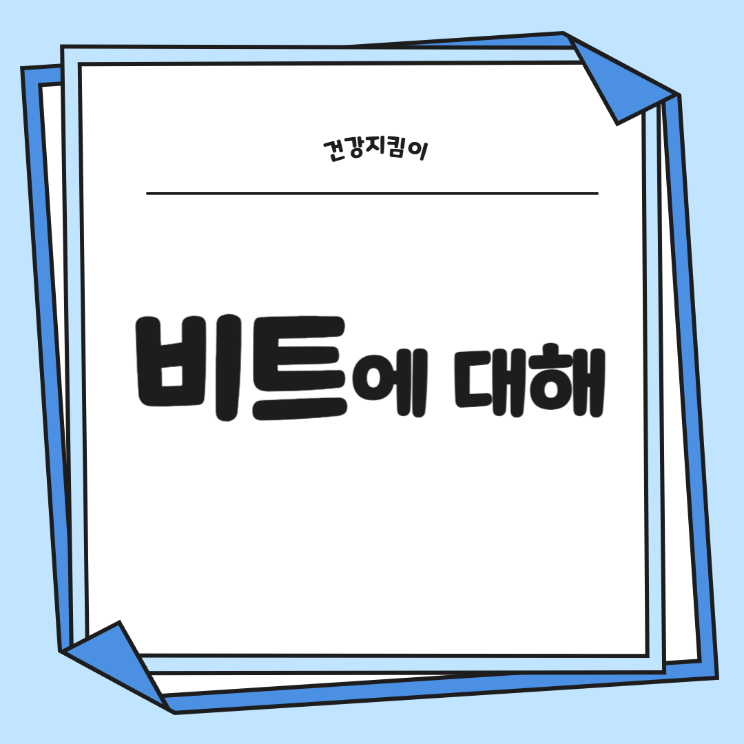 비트 효능 및 부작용 먹는 방법 칼로리 소변색