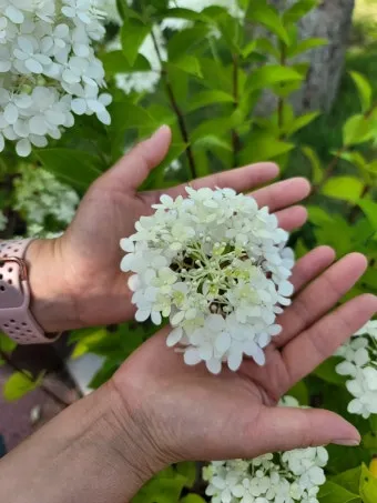 압해도 분재공원 근처 선착장에서의 낚시 농어와 도다리 포인트 소개 완벽 낚시터_21