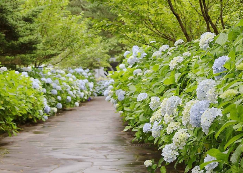 상효원