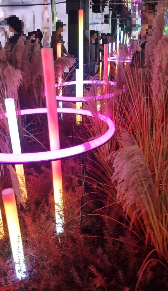 순천만 국가정원 동문 관람 코스 스페이스 브릿지 (24년4월10일 기준 사진)