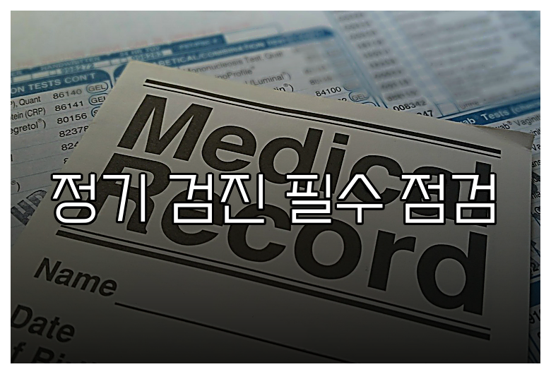 정기 검진 필수 점검