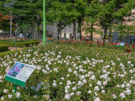 부산 정관 윗골공원