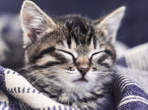 수능 응원 문구