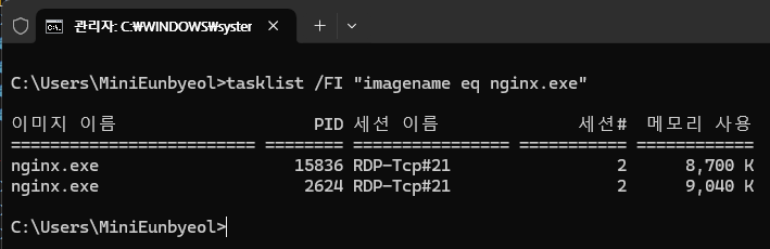 nginx 실행 여부 확인 예시 화면