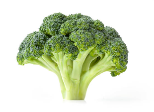 브로콜리