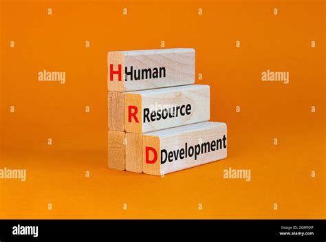 HRD란 무엇인가?