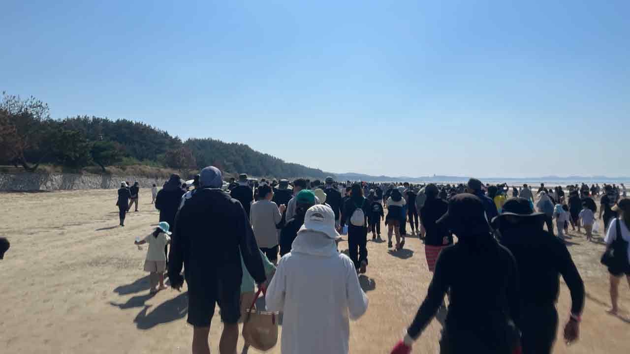 수많은 사람들이 백사장을 따라 해변 맨발걷고 있는 모습