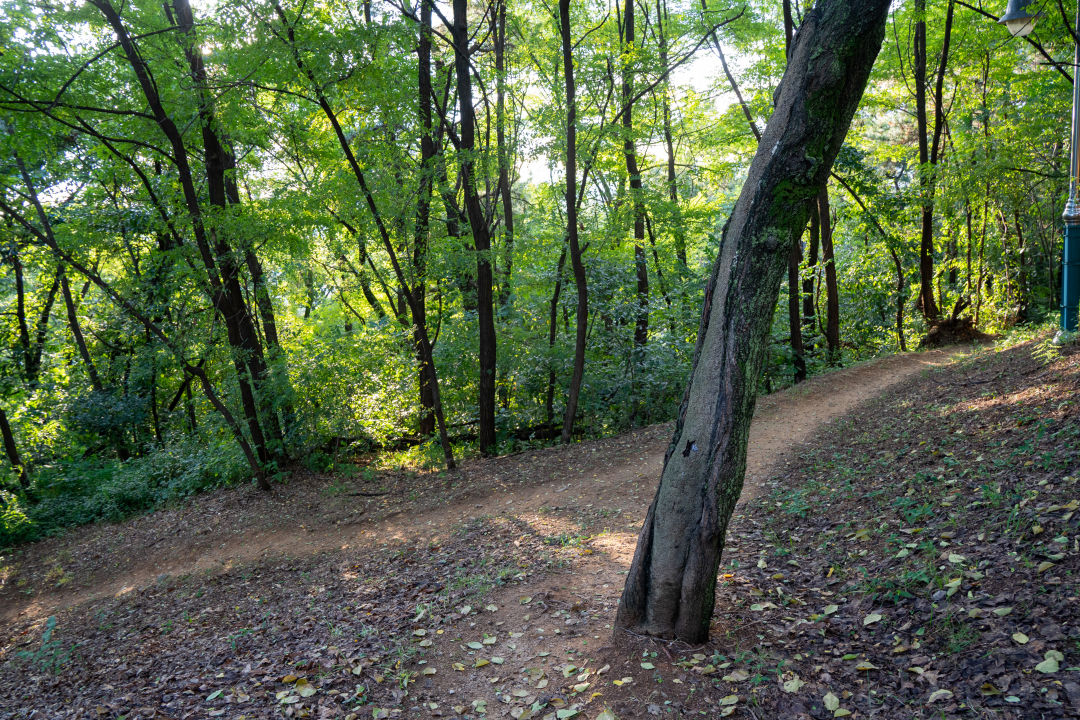 퉁소바위공원 올라가는길