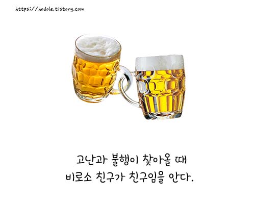 맥주두잔 이미지